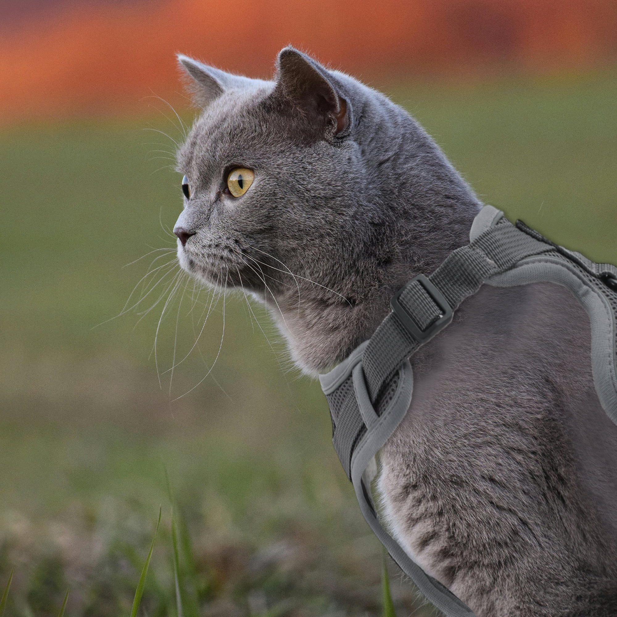Unique Bargains Adjustable Cat Harness Leash Set With Reflective Strips Gray M