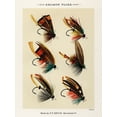 thumbnail image 2 of Marbury, Mary Orvis 19x24 Black Ornate Wood Framed with Double Matting Museum Art Print Titled - Salmon Fishing Flies III from Favorite Flies and Their Histories, 2 of 4