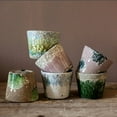 thumbnail image 2 of Colorful Terracotta Pot, 2 of 12