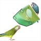 thumbnail image 2 of Indoor Breeding Cage Clear Bird Shelter Wooden Bird Nest+Perch C, 2 of 5