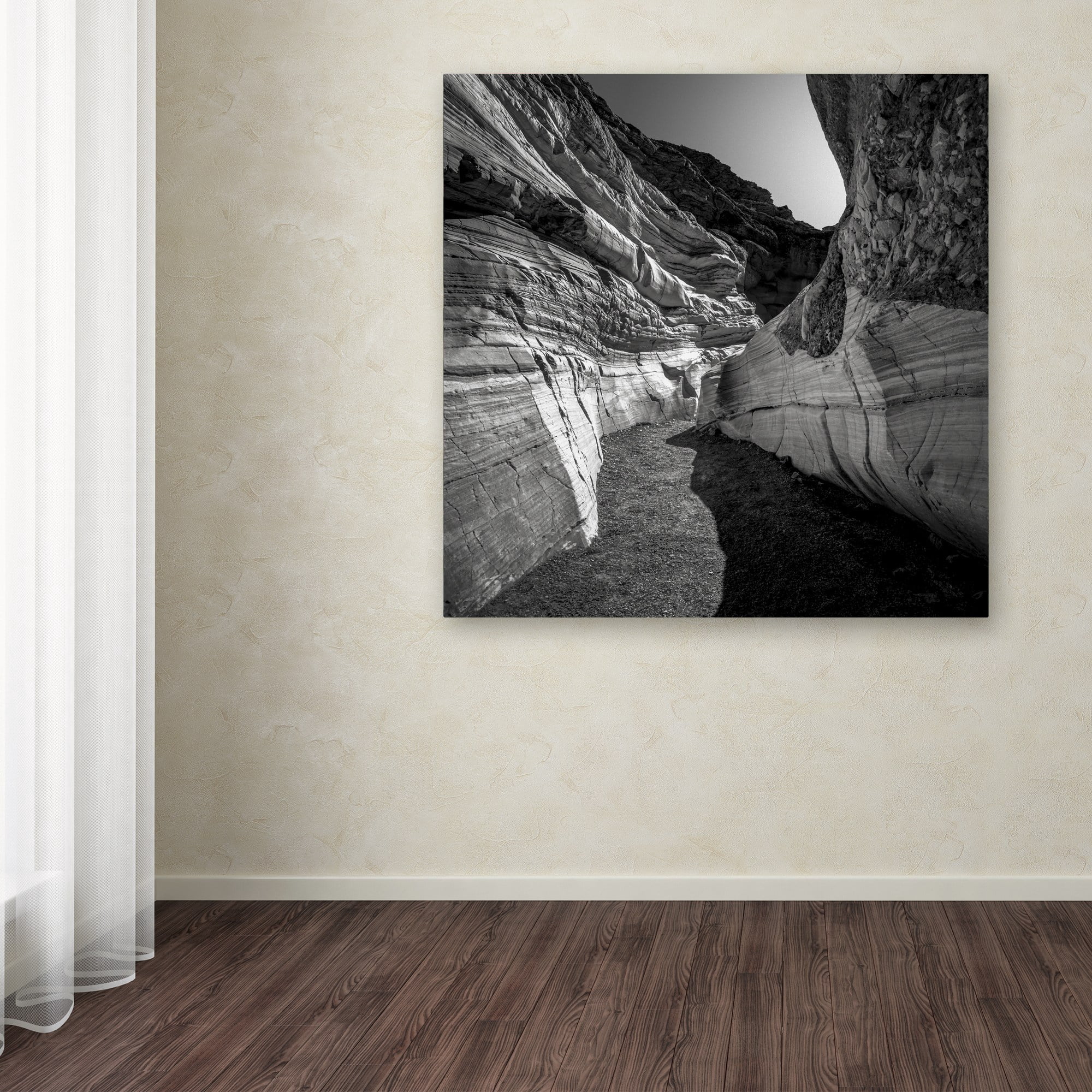 Trademark Fine Art Dave MacVicar 'Yin Yang' 24 x 24 (ALI0880-C2424GG)