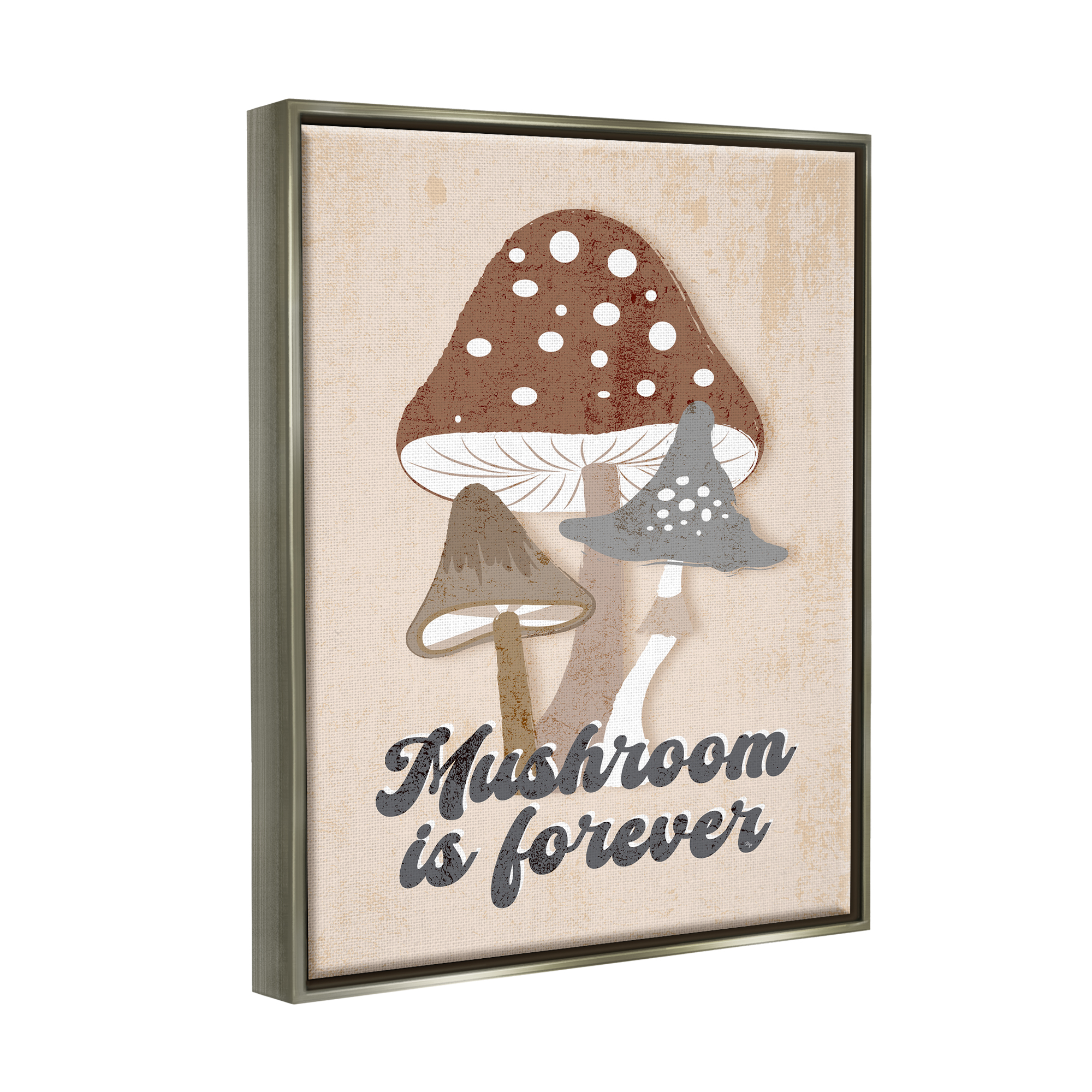 Stupell Industries Retro Mushroom is Forever Botanical & Floral Painting Gray Floater Framed Canvas Art Print Wall Art, 17 x 21