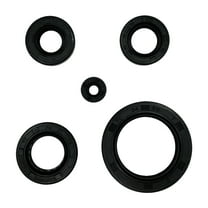 Oil Seal Set for CG 125cc 150cc 200cc 250cc Upright Engine ATV Pit Dirt Bike Go Kart Dune Buggy Motorcycle 4 Wheeler Quad Compatible with Chinese TaoTao Lifan Loncin Zongshen Engines (5 Pcs)