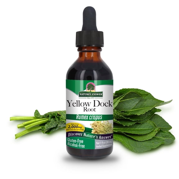 Nature's Answer Yellow Dock Root Alcohol Free 2000mg 1oz Gluten-Free Non-GMO