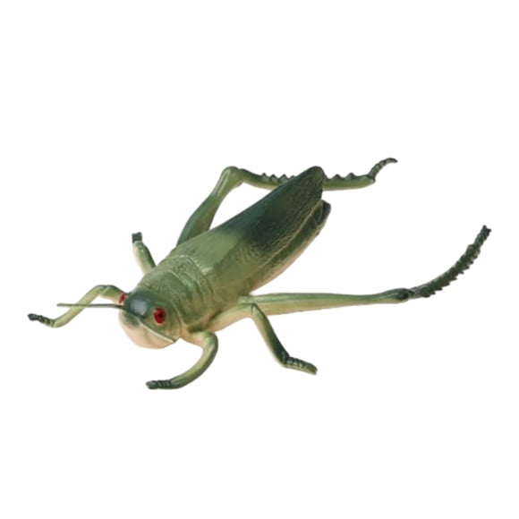 Escultura realista grande para jardín exterior, estatua de plástico para arte en el jardín y juguete educativo