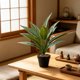 thumbnail image 4 of Plantas artificiales en maceta | Vegetación artificial para la decoración del hogar | Follaje realista de PVC para sala de estar, oficina y dormitorio, 4 of 6