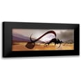 thumbnail image 1 of Abbas, Helen 14x8 Black Modern Framed Museum Art Print Titled - Sahara II, 1 of 5