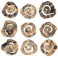 thumbnail image 5 of Uttermost Corkscrew Wood Wall Decor in Natural (Set of 9), 5 of 5