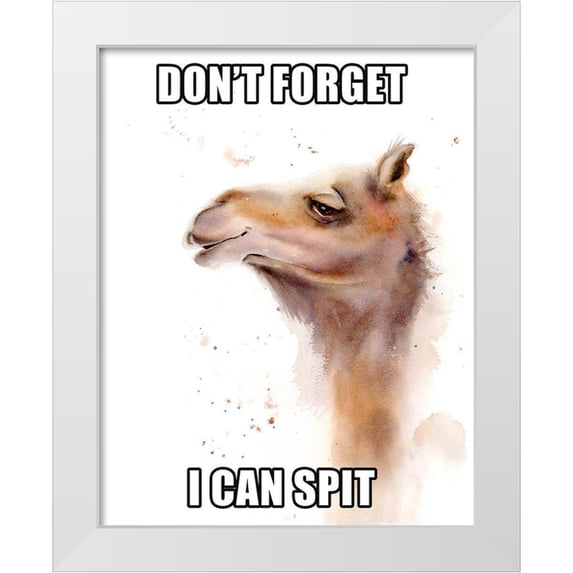 Shefranov, Olga 15x18 White Modern Wood Framed Museum Art Print Titled - I Can Spit