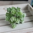 thumbnail image 1 of Useful Artificial plants PVC Simulation 24 Heads Simulation Succulents Wedding Decoration Display Garden Indoor, 1 of 9