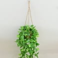 thumbnail image 6 of Wind Rattan Hanging Basket | Wall-Mounted Storage Flowerpot | Grass Garden Planter with Rope | Space-Saving Decorative Indoor Outdoor Organizer | 1 Pack | Ideal Home Balcony D茅cor, 6 of 9