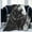 Black, variant on Blanket Sam Elliott Ultra-Soft Micro Fleece Wollen Blankets Throw Blankets Carpet Gift for Home Decoration,Decor Sofa,Office,Dormitory Bed car Camp Couch All Seasons