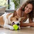 thumbnail image 6 of Interactive Dog Ball 2.5 Inch Glow in The Dark Dog Ball Paw Print Dog Toys Non Toxic Pet Chew Ball for Small Medium Dogs Oral Play and Indoor Outdoor Activity, 1 Pack, 6 of 6
