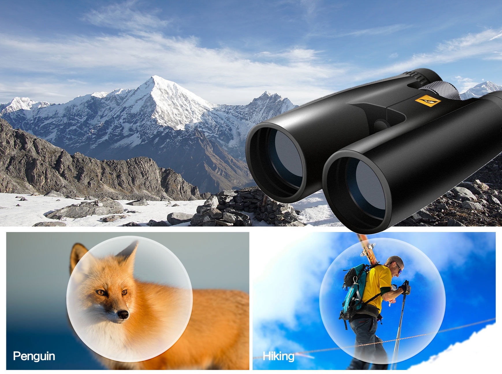 Binoculars for Adults High Powered Birds of Prey - 12x50 Binoculars for Kids with Carrying Case and Strap - Binoculars for Bird Watching, Binoculars for Cruise Ship, Travel Essentials and Camping Gear