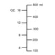 thumbnail image 4 of Vaso medidor, actualizado, 2 balanzas de medición, incluida la báscula L, balanza de onzas, vasija medidora de acero inoxidable con marcado, 16 onzas, 500 ml, 4 of 5