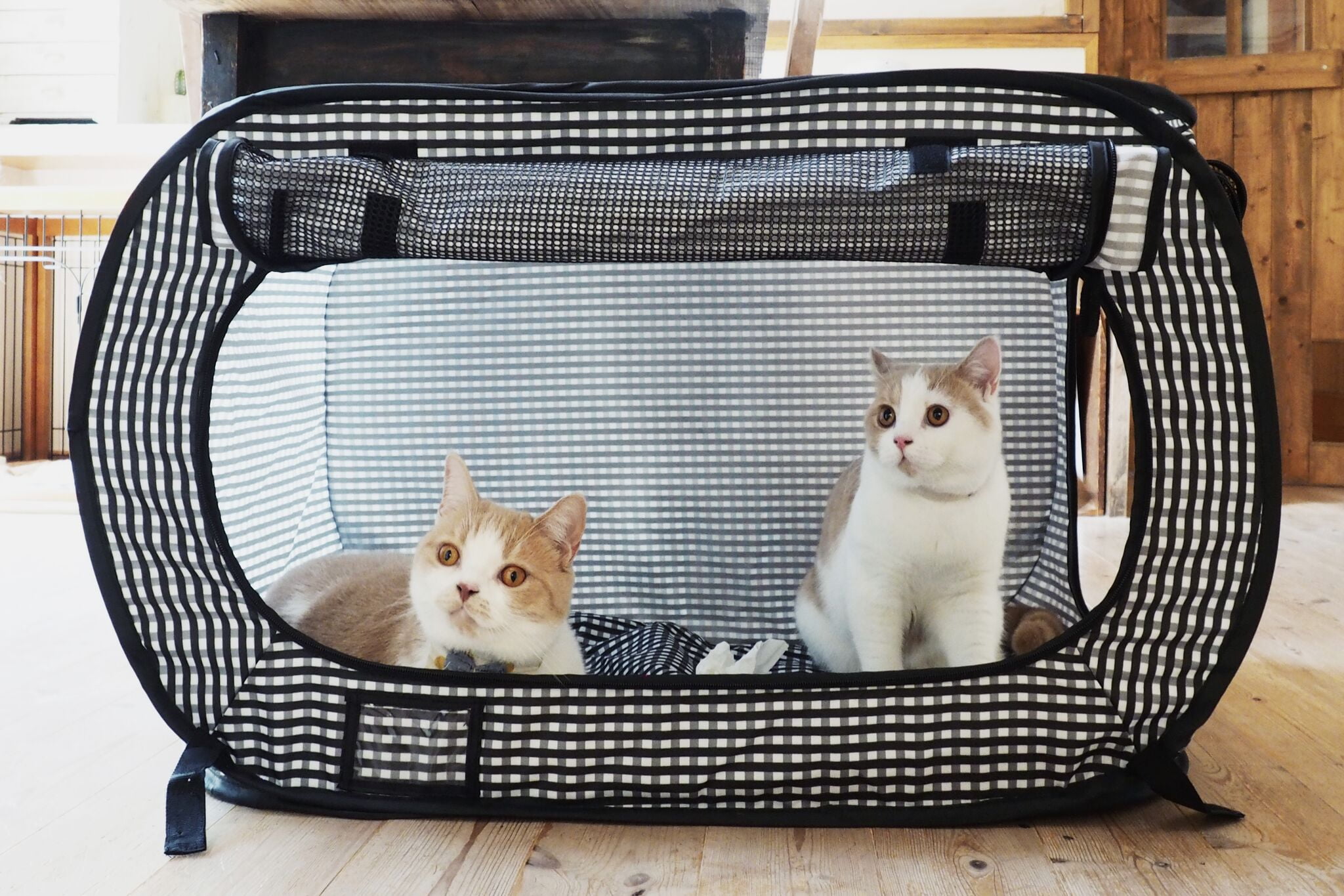 Necoichi Portable Stress Free Cat Cage 