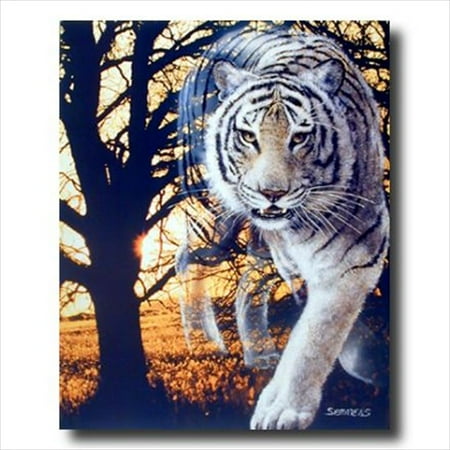 - Wild Spirit White Bengal Tiger Wall Picture Art Print