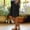 Black, variant on Casual Shorts for Women Spring Summer Straight Leg Capri Pants Elastic Waist Lightweight Relaxed Side Pockets Outdoor Shorts