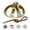 Beige, variant on AIITLE Adjustable Reflective Breathable Dog Vest Harness for Outdoor Walking, Training for Extra Small Dogs, Beige XXXS