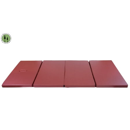 Burgundy Shiatsu Mat Massage Cushion Set Practitioner Thai