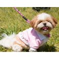 thumbnail image 5 of Abrigo para mascotas con cuello y hebillas universitarias, 5 of 5