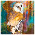 thumbnail image 1 of Wdftyju Diamond Painting 5D Animal colorido Full Round Drill Rhinestone Kit (B2189) Wdftyju 6dd1wk8dz1hw4kk5D11, 1 of 9