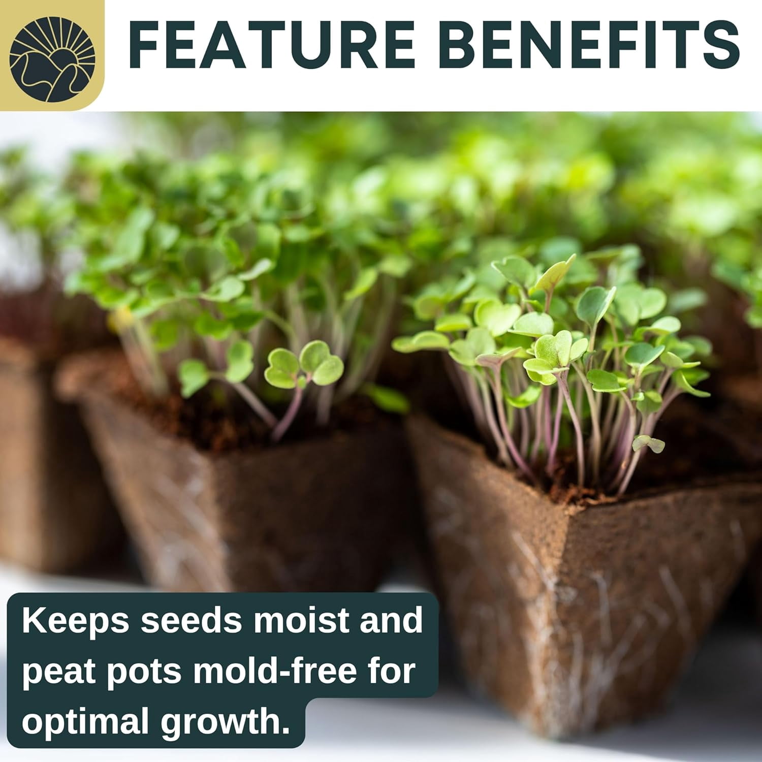 SunVara Seed Starter Peat Pots for Seedlings Biodegradable Seed Starter Pots for Planting Seeds Biodegradable Plant Starter Pots Seed Starter Tray Biodegradable Pots for Seedling