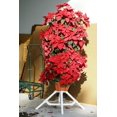 thumbnail image 6 of Strawberry and Herb Garden Planter - Stackable Gardening Pots with 10 Inch Saucer, 6 of 6