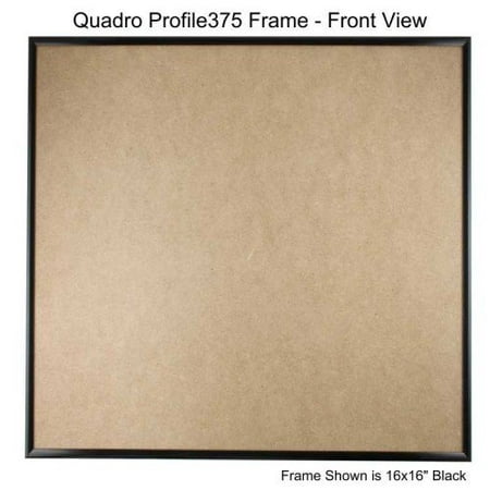 Quadro Frames 17x17 inch Picture Frame Black Style P375-3/8 inch Wide ...