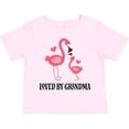 thumbnail image 3 of Inktastic Grandma Loves Me Flamingo Grandchild Gift Girls Toddler T-Shirt, 3 of 5