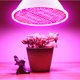 thumbnail image 4 of Bombilla De Cultivo Led Para Plantas De Interior, Espectro Rojo Y Azul, 300 Led, Bombillas Tomshoo  300 LED, 4 of 7