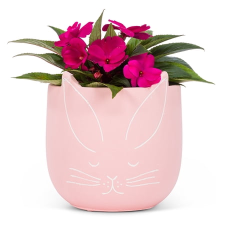 Set of 2 Large Bunny Planter