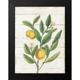 thumbnail image 2 of Schlabach, Sue 12x14 Black Modern Framed Museum Art Print Titled - Classic Citrus V Shiplap, 2 of 5