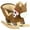 Brown#1, variant on Childrens Bike, Qaba 3-Wheel Recreation Ride-On Toddler Tricycle With Bell Indoor / Outdoor - Black, Black Kids Bike,Steel Girls Bike, Toys Kids Bikes & Riding Toys