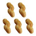 thumbnail image 2 of 5 piezas de fotografía falsa de maní accesorios de maní artificial decoraciones de frutas secas, 2 of 4
