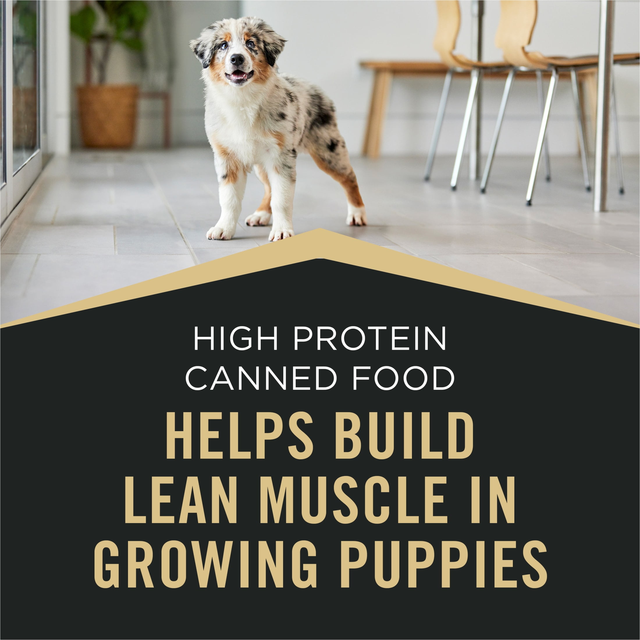 Purina Pro Plan Sport High Protein Dog Food for Puppies Beef and Rice Entree and Chicken and Rice Entree Variety Pack, 13 oz Cans (12 Pack)