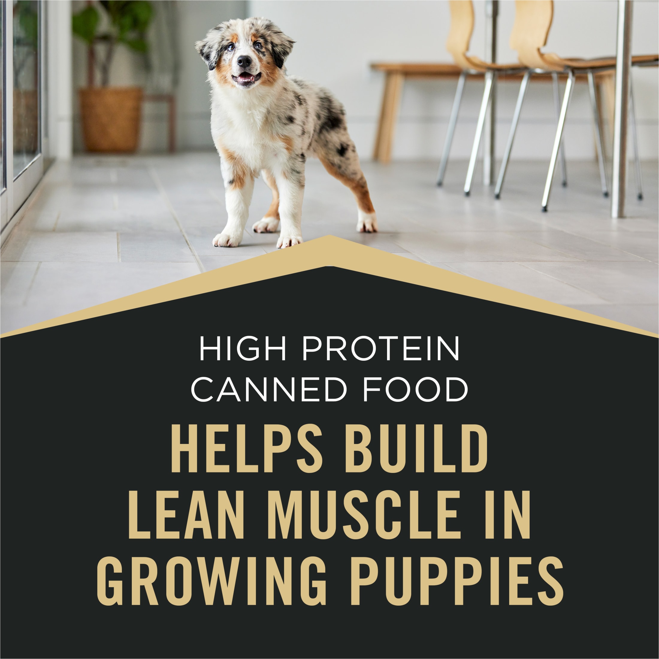 Purina Pro Plan Sport High Protein Puppy Variety Pack, 12 Cans photo 6