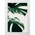 thumbnail image 1 of Artographie Studio 23x32 White Modern Wood Framed Museum Art Print Titled - Monstera Natural 12, 1 of 4