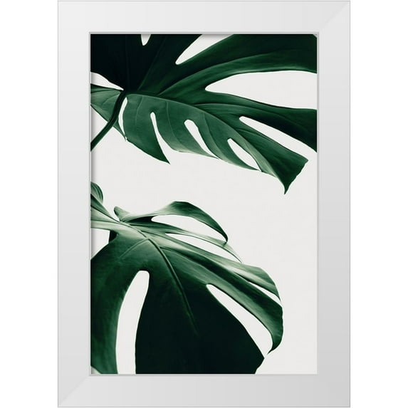 Artographie Studio 23x32 White Modern Wood Framed Museum Art Print Titled - Monstera Natural 12