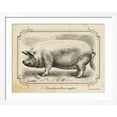 thumbnail image 2 of Art.com Farm Pig II Art Print by Gwendolyn Babbitt, White Frame Wall Art, 40" x 32", 2 of 4