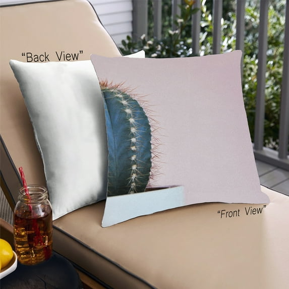 Ahgly Company Plants Cactus Outdoor Throw Pillow, 18 inch by 18 inch