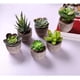 thumbnail image 2 of 6 piezas de plantas suculentas artificiales en macetas naturales, pequeñas plantas artificiales, decoración del hogar para su hogar, oficina, 2 of 6