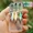 M-3pcs, variant on 3 Pack Metal Spinner Baits, 3D Realistic Blade Fishing Lures with Propeller for Freshwater Bass Trout for Pond Lake River Angler