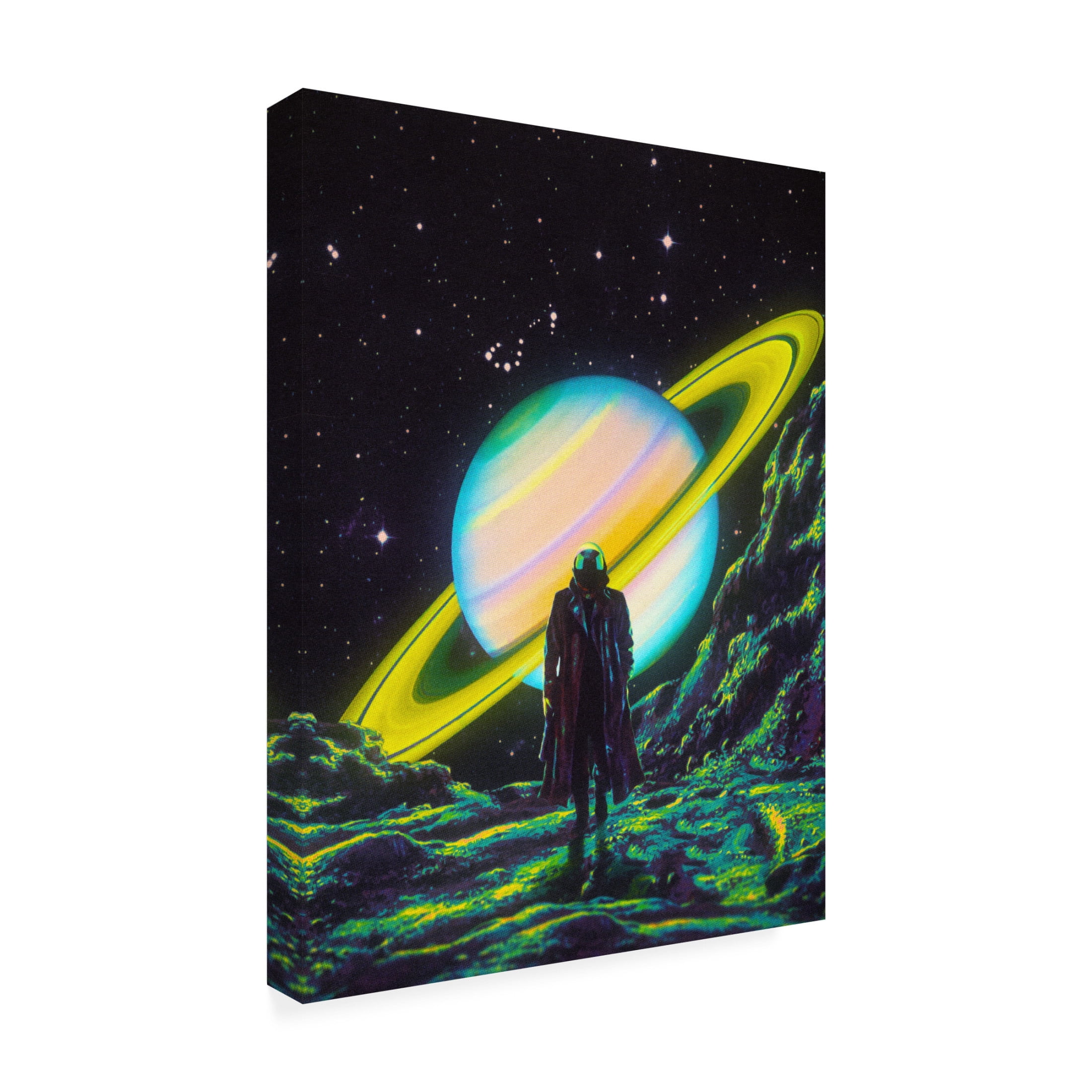 Trademark Fine Art Taudalpoi  The Arrival Canvas Wall Art