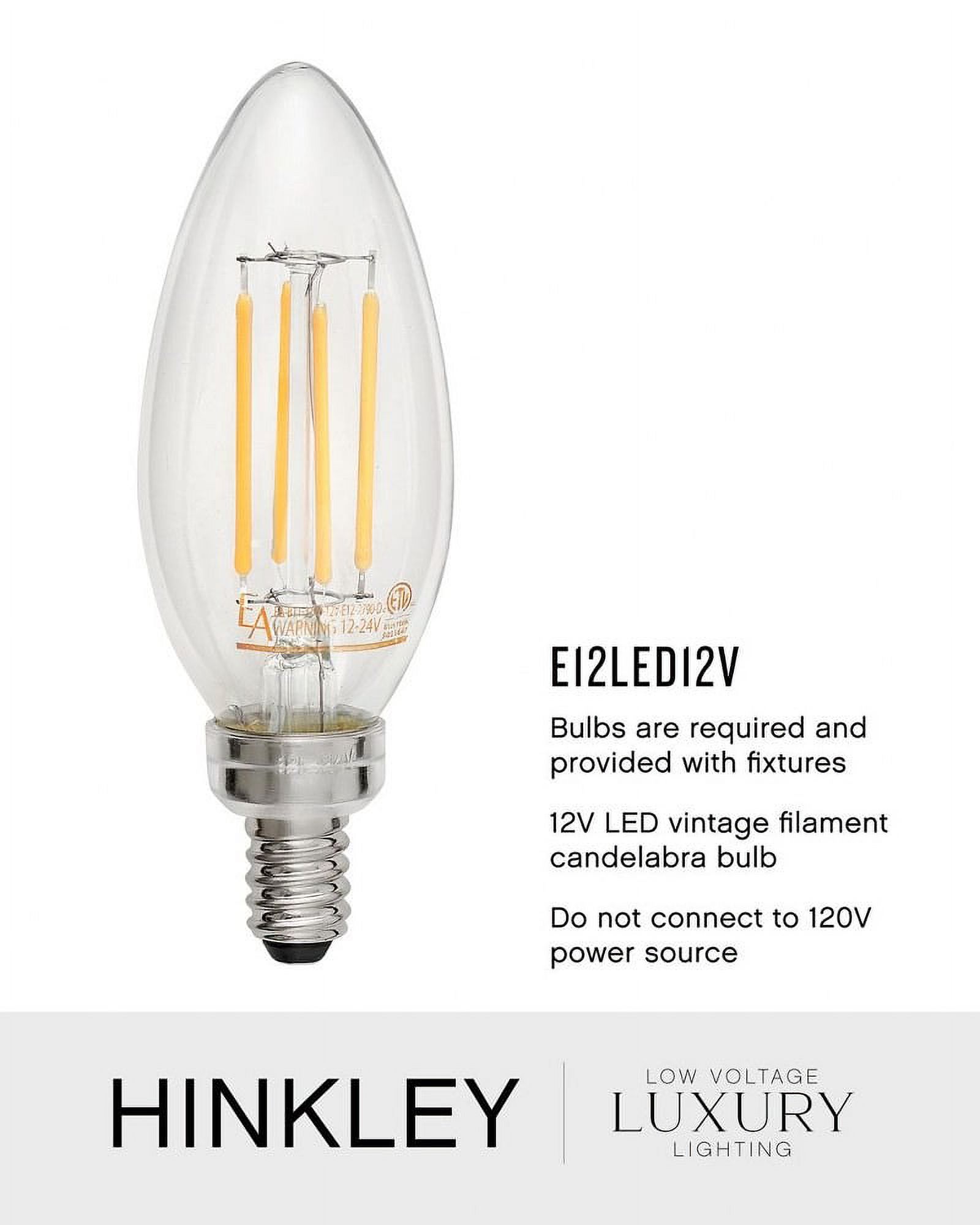Hinkley Lighting - Four Light Outdoor Pendant - Rhodes - 4 Light Medium Outdoor - image 5 of 5
