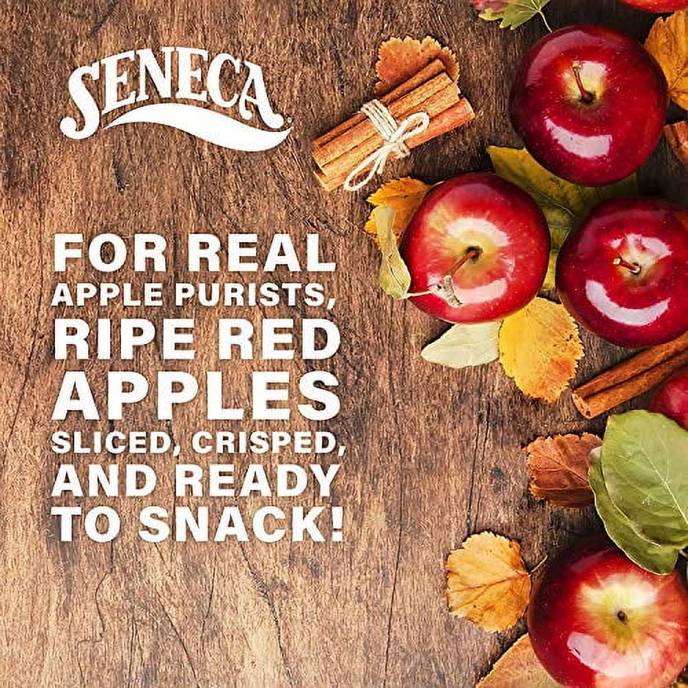 Seneca Cinnamon Apple Chips - 2.5 oz. bag, 12 per case