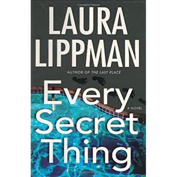 Pre-Owned Every Secret Thing : A Novel (Hardcover) 9780060506674