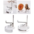 thumbnail image 1 of Soporte de Exhibición de Acrílico de 2 Piezas, Base forma forma forma para Fósiles, Minerales, Piedras , Rocas, Piezas de , Mar yotijar soportes de exhibición, 1 of 10