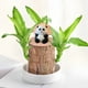 thumbnail image 5 of Resin Pandas Ornament Home Desktop Decorations Ornaments Brazilians Wood Accessories Sculpture, 5 of 6