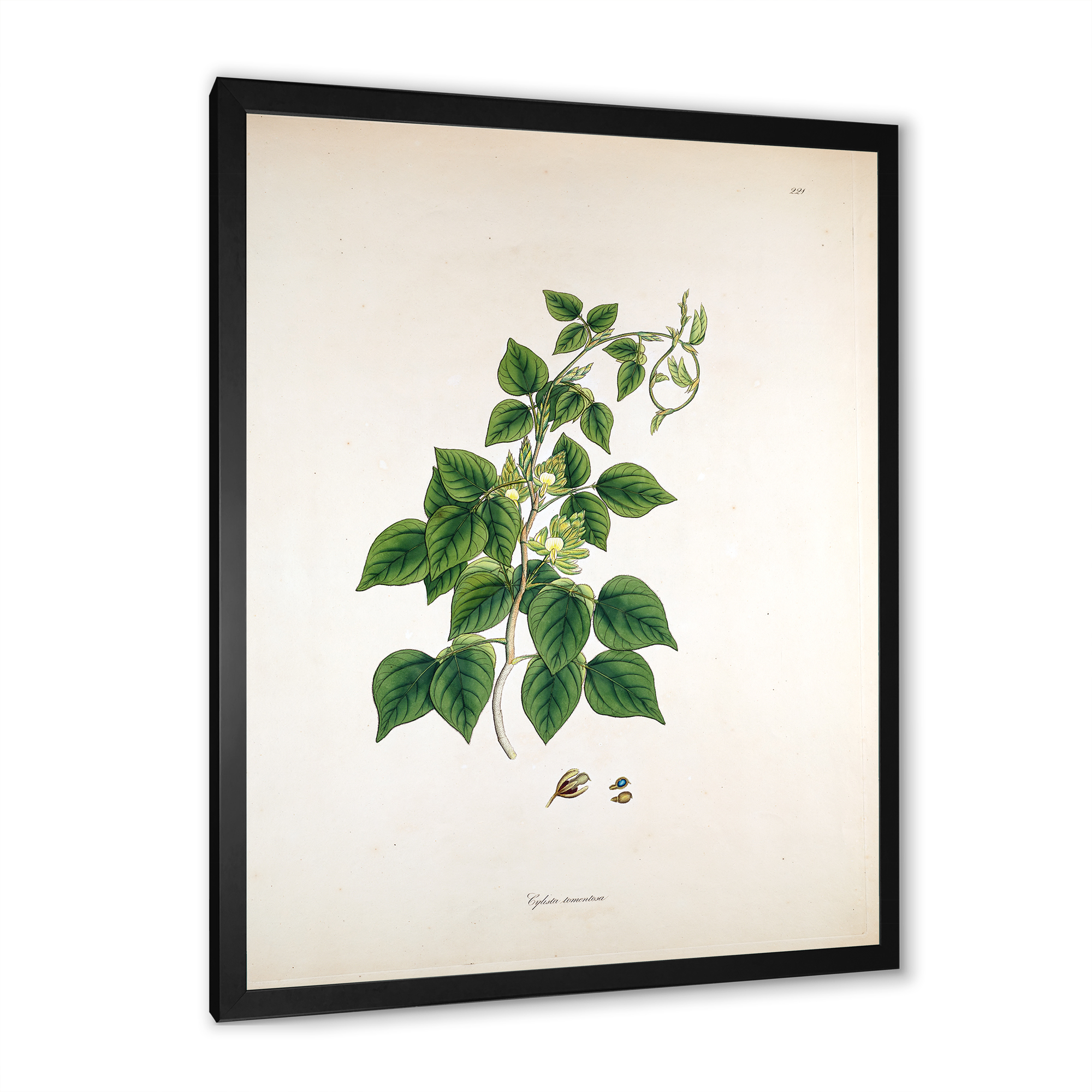 Designart 'Ancient London Plants VIII' Farmhouse Framed Art Print